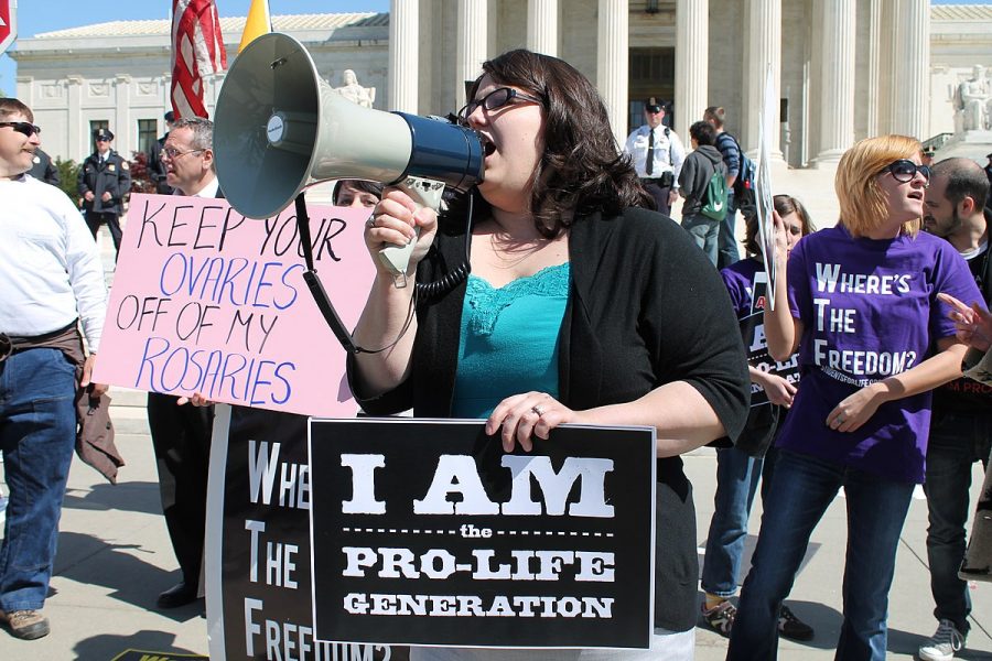 Pro-life protesters outside the US Supreme Court on March 27, 2012. Photo courtesy of Wikimedia Commons.