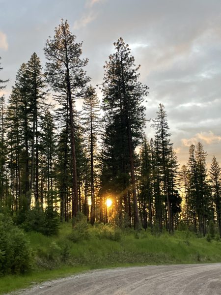 Western Montana wilderness. Photo courtesy of Ila Bell
