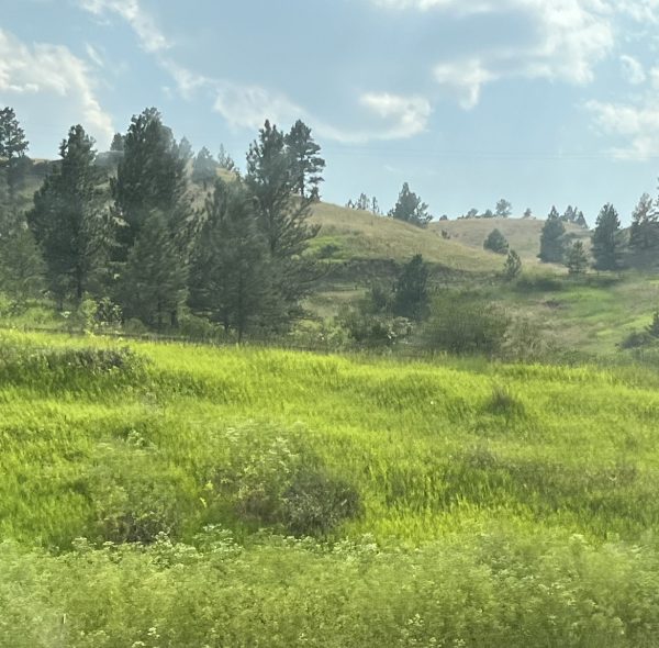 View of Montana natural ecosystem 