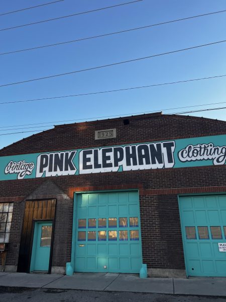 New Pink Elephant Building