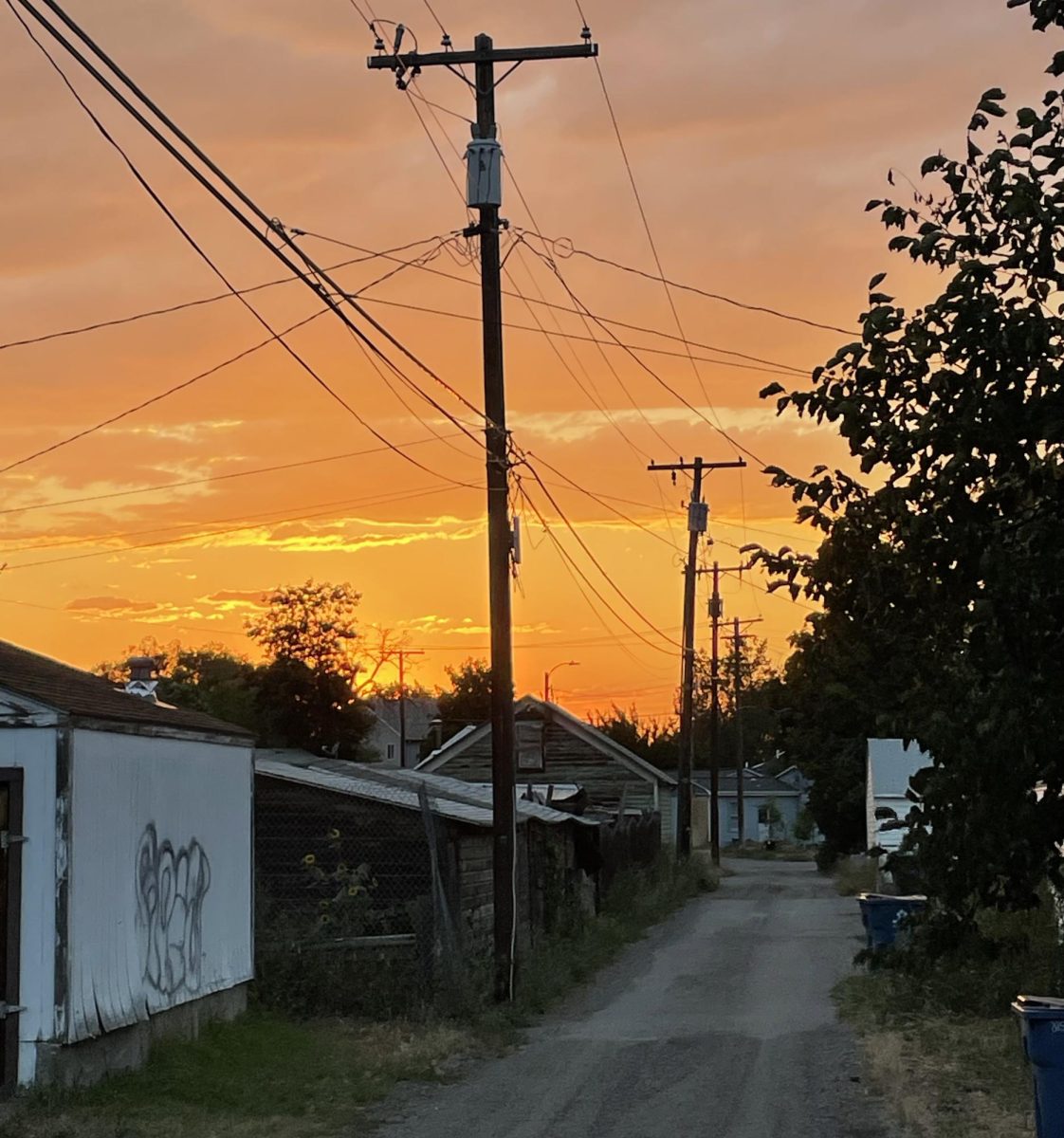 A view of a Northside alleyway this summer. Photo by Will Hansen.