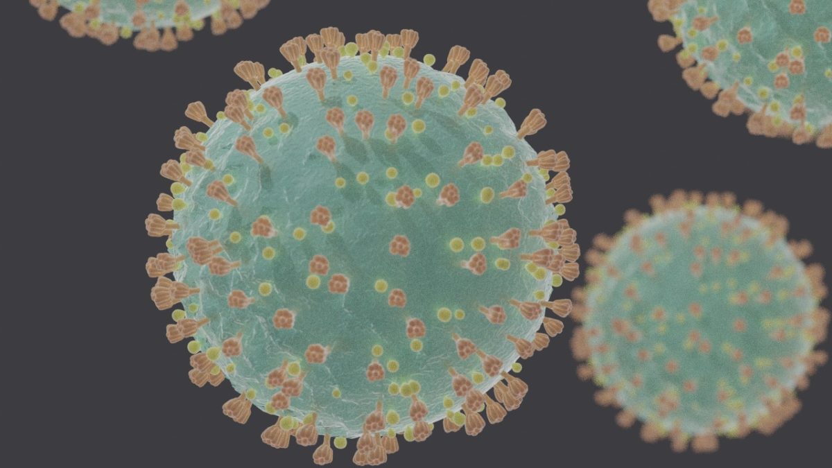 A+close+up+of+Coronavirus.+Photo+courtesy+of+Wikimedia+Commons.+