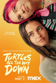 Turtles All the Way Down Review