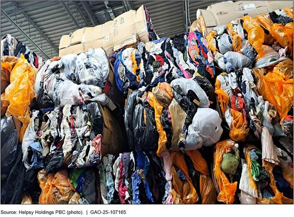 Fast Fashion: Trendy, Cheap, and Unsustainable