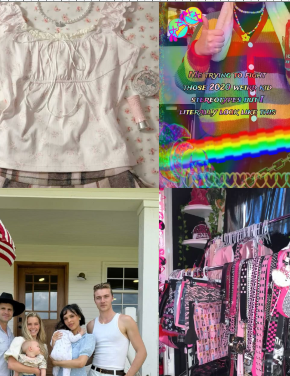 Aesthetics are diverse and dividing