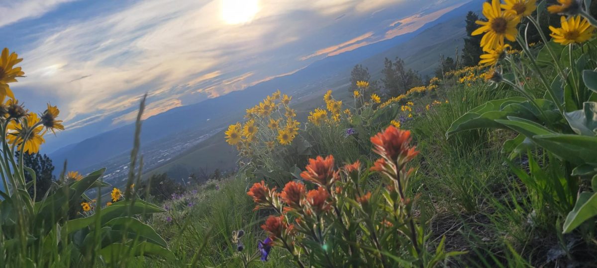 The view from the top of The Jumbo Saddle Summit Trail