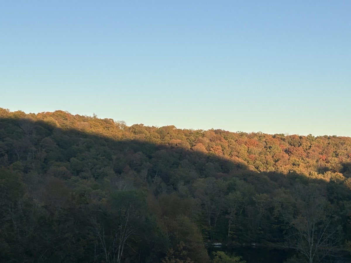 Autumn colors before the sunset.