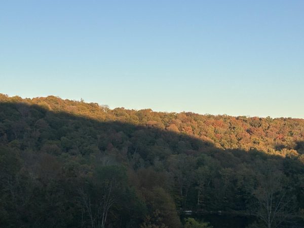 Autumn colors before the sunset.
