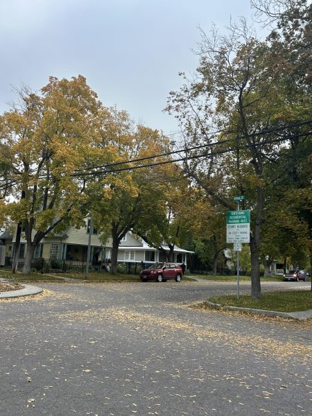 Beginning of the residential parking area starting on Hilda Avenue, with the parking sign. Photo by Piper Wells.