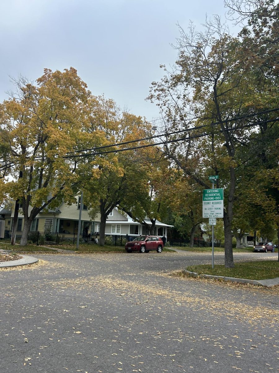 Beginning of the residential parking area starting on Hilda Avenue, with the parking sign. Photo by Piper Wells.