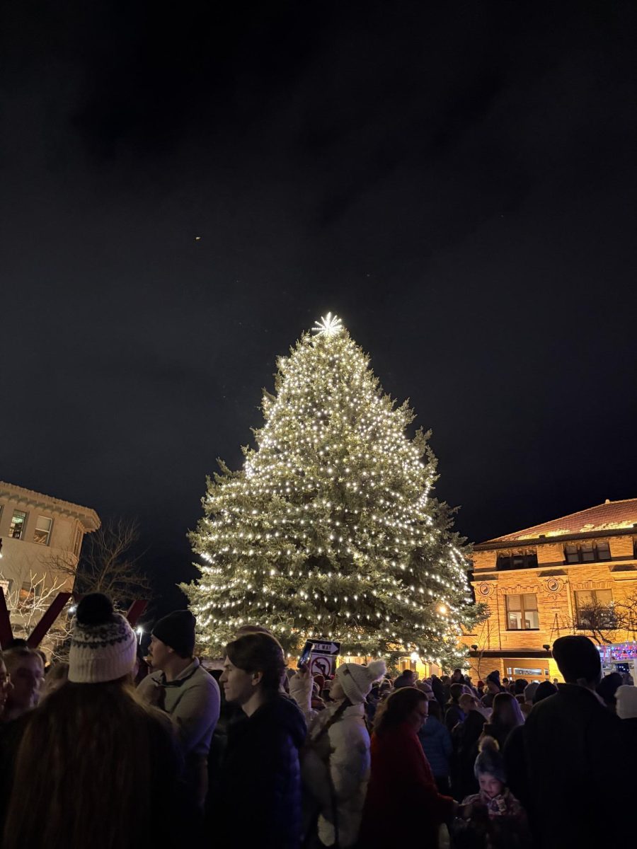 Downtown Missoula’s Christmas Tree in front of the North Higgins Train Station. Photo by Ellie Lopuch.