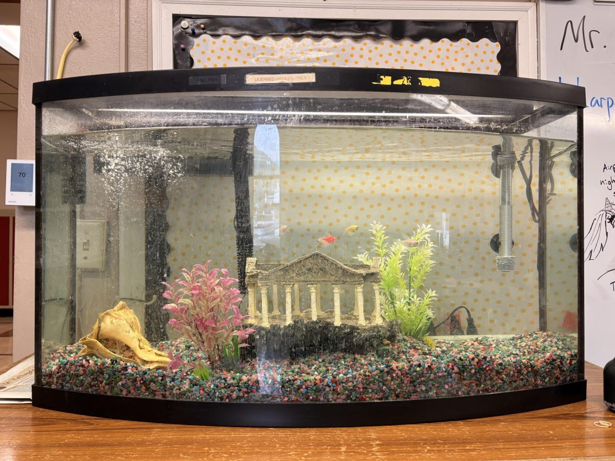 Creative Final Projects Becoming More Common at Hellgate